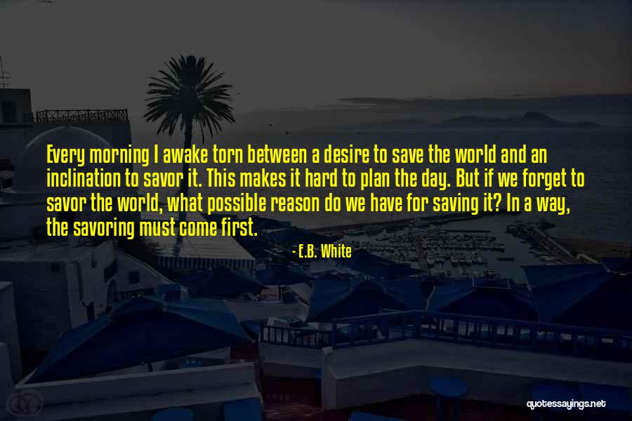 Plan A B Quotes By E.B. White Plan A B Quotes By E.B. White