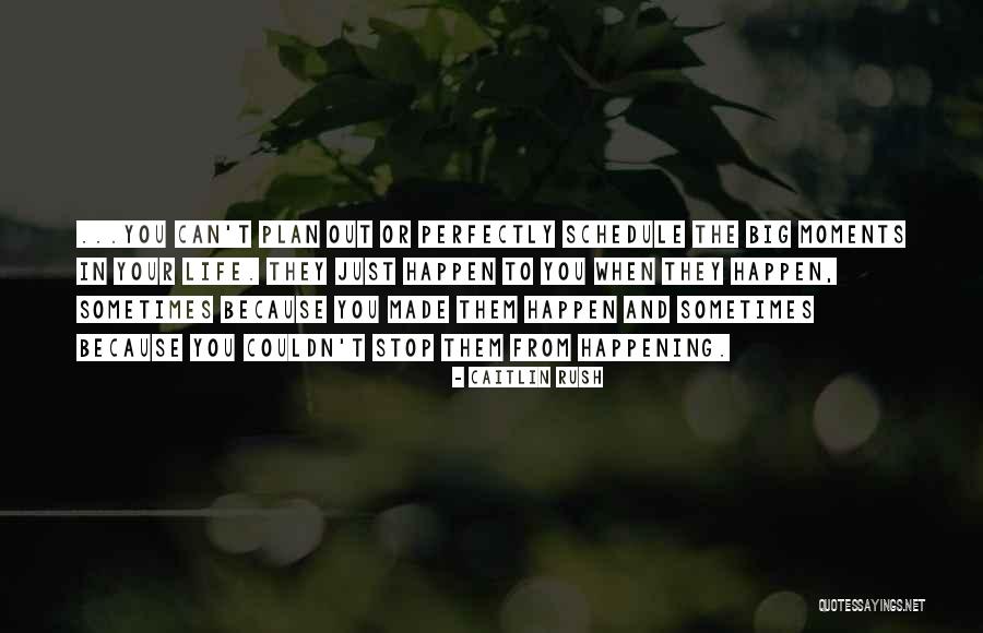 Plan Big Quotes By Caitlin Rush Plan Big Quotes By Caitlin Rush