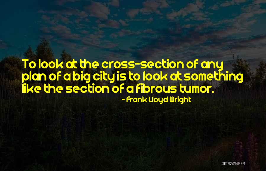 Plan Big Quotes By Frank Lloyd Wright Plan Big Quotes By Frank Lloyd Wright