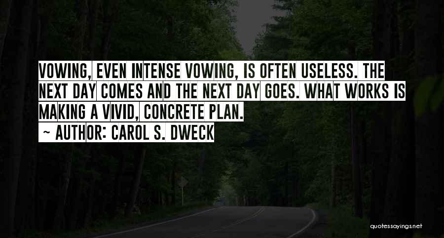 Plan Making Quotes By Carol S. Dweck