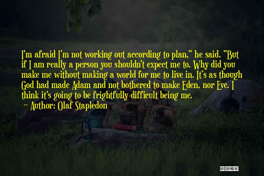 Plan Making Quotes By Olaf Stapledon