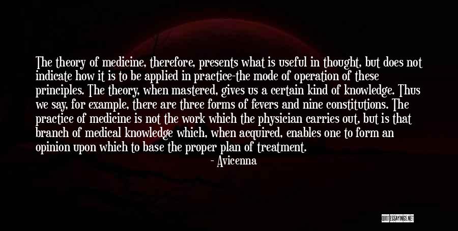 Plan The Work Quotes By Avicenna