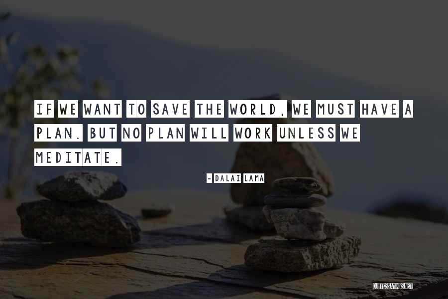 Plan The Work Quotes By Dalai Lama