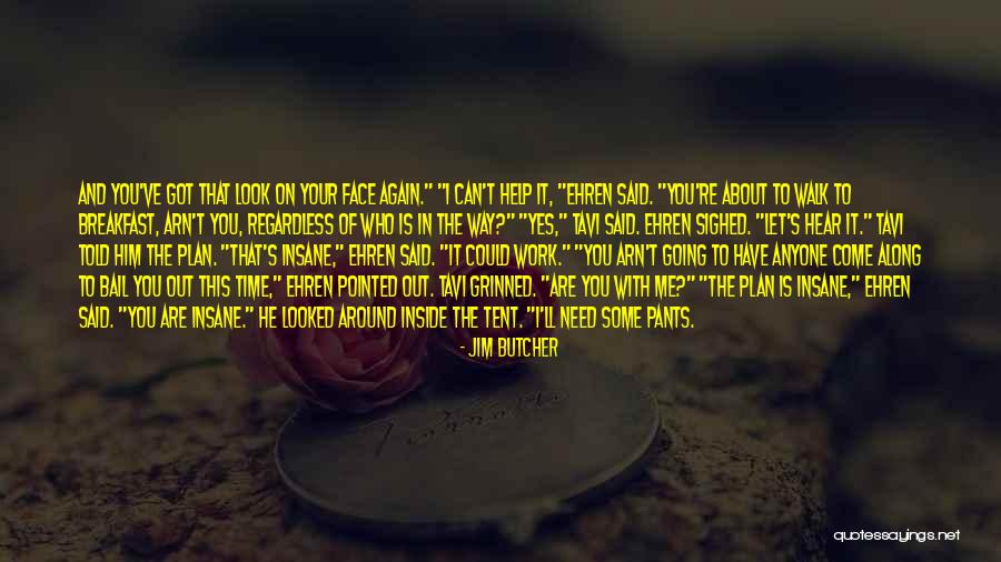 Plan The Work Quotes By Jim Butcher