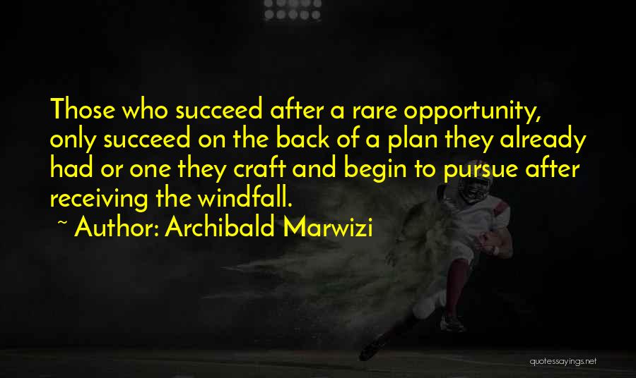 Plan To Succeed Quotes By Archibald Marwizi