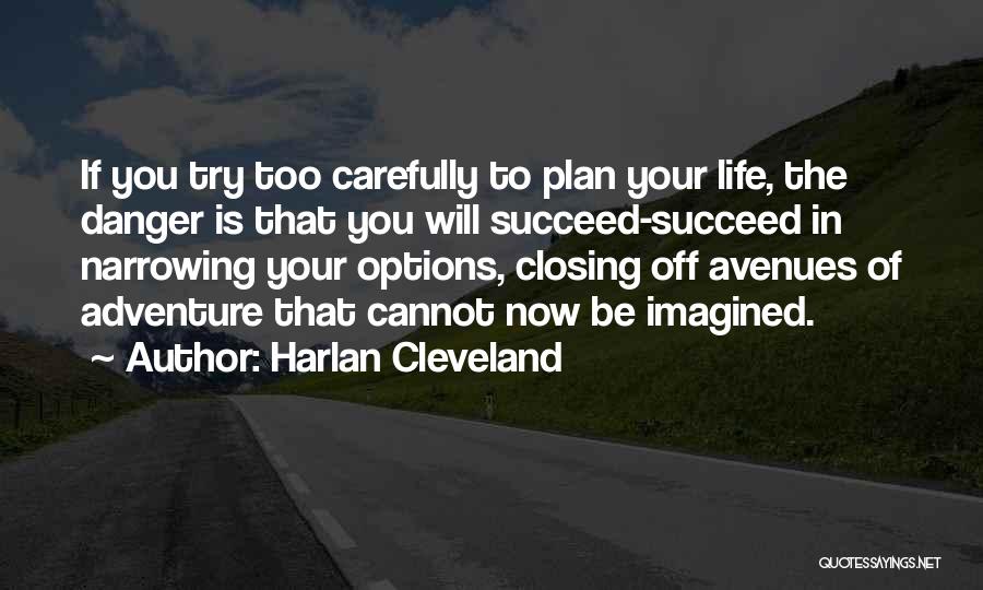 Plan To Succeed Quotes By Harlan Cleveland