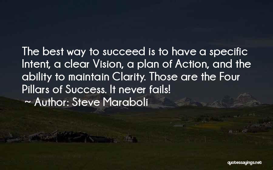 Plan To Succeed Quotes By Steve Maraboli