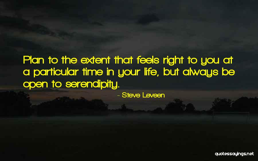 Plan Your Life Quotes By Steve Leveen Plan Your Life Quotes By Steve Leveen
