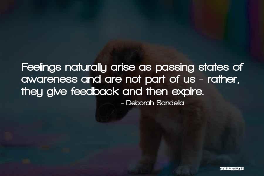 Plancha Tapas Quotes By Deborah Sandella Plancha Tapas Quotes By Deborah Sandella