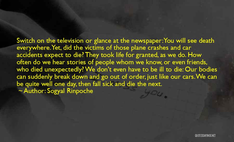 Plane Crashes Quotes By Sogyal Rinpoche