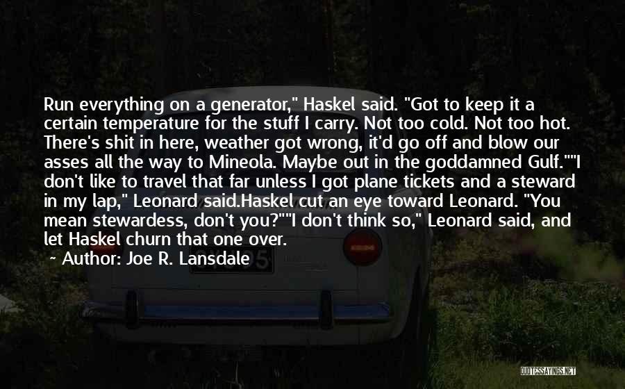 Plane Tickets Quotes By Joe R. Lansdale