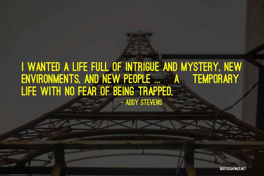 Plane Valentine Quotes By Addy Stevens Plane Valentine Quotes By Addy Stevens