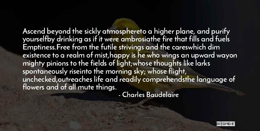 Plane Wings Quotes By Charles Baudelaire Plane Wings Quotes By Charles Baudelaire