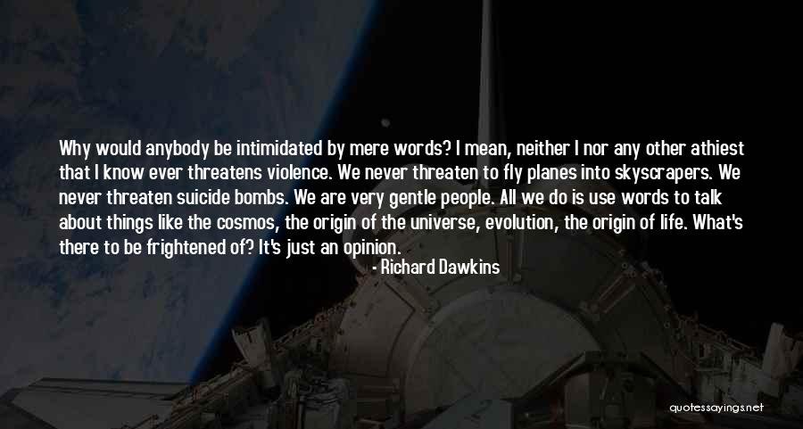 Planes 2 Quotes By Richard Dawkins