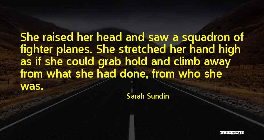 Planes 2 Quotes By Sarah Sundin