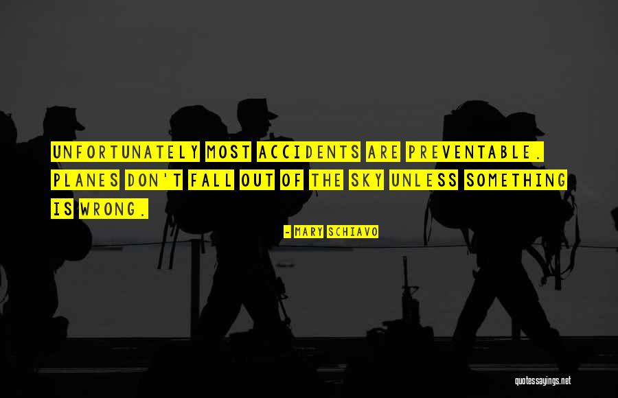 Planes In The Sky Quotes By Mary Schiavo Planes In The Sky Quotes By Mary Schiavo