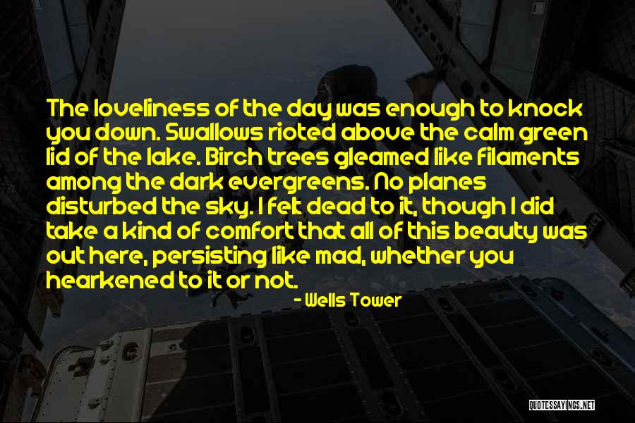 Planes In The Sky Quotes By Wells Tower Planes In The Sky Quotes By Wells Tower