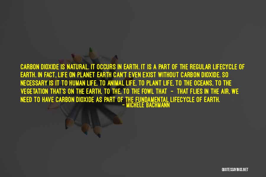 Planet It Earth Quotes By Michele Bachmann Planet It Earth Quotes By Michele Bachmann