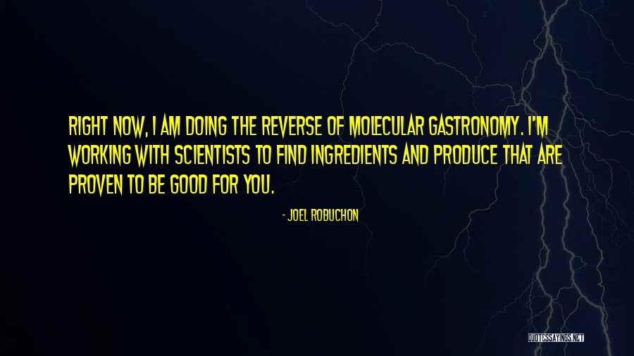 Plangere Anpc Quotes By Joel Robuchon Plangere Anpc Quotes By Joel Robuchon