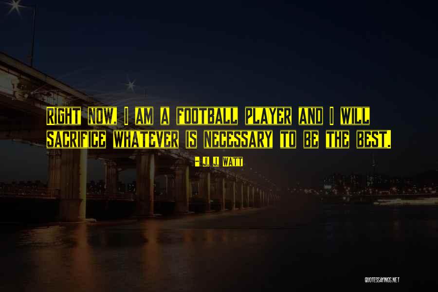 Planificador Quotes By J. J. Watt Planificador Quotes By J. J. Watt