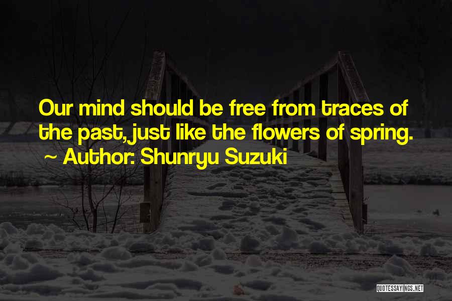 Planina Olimp Quotes By Shunryu Suzuki