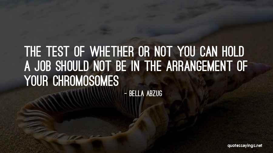 Planken Ophangen Quotes By Bella Abzug Planken Ophangen Quotes By Bella Abzug