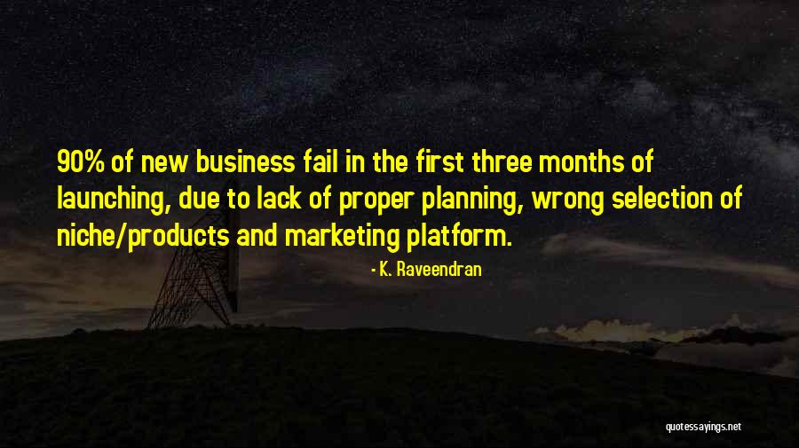 Planning A Business Quotes By K. Raveendran