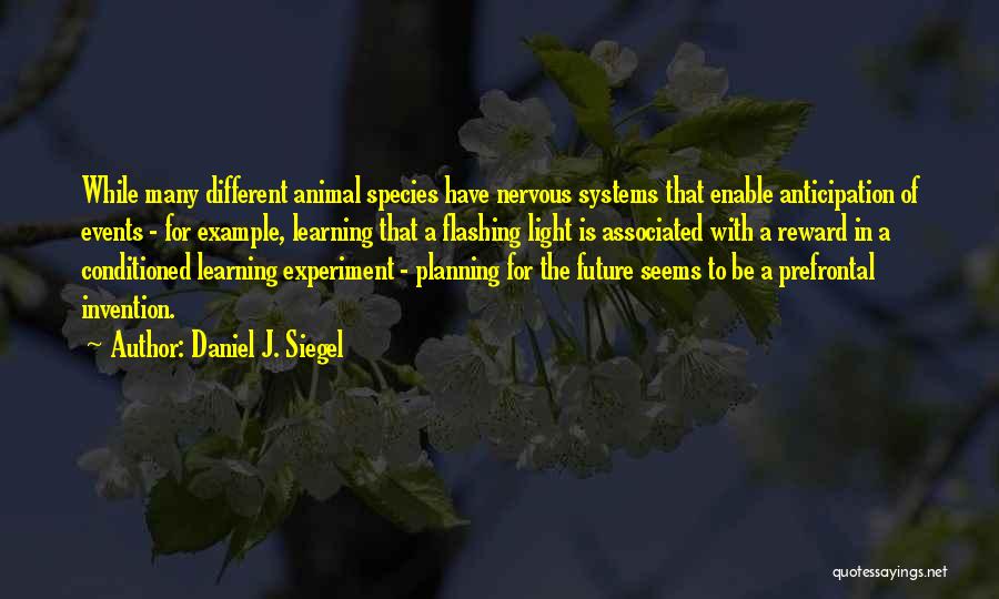 Planning Events Quotes By Daniel J. Siegel