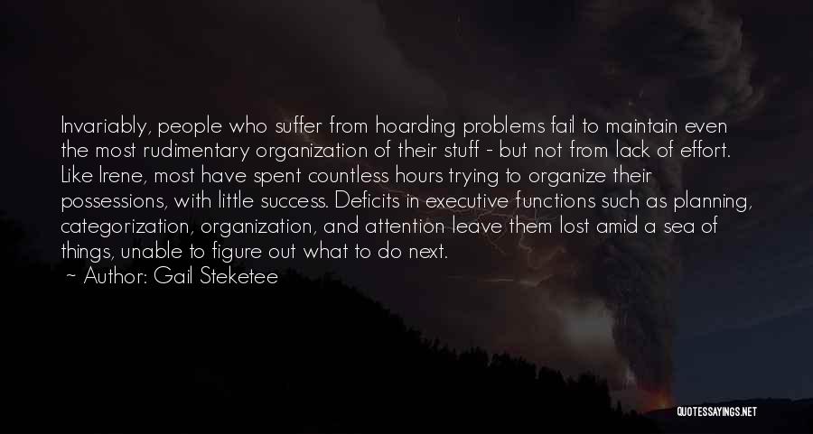 Planning For Success Quotes By Gail Steketee