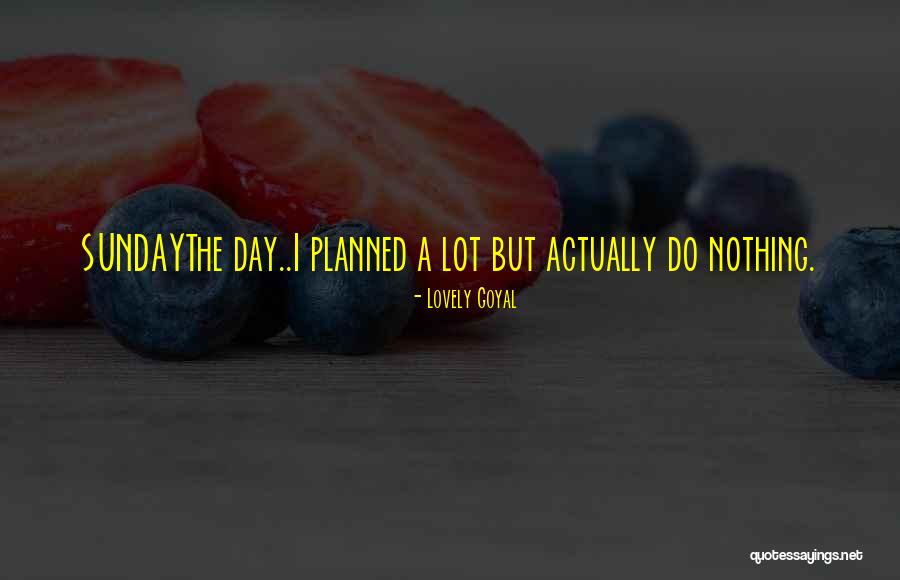 Planning Your Day Quotes By Lovely Goyal