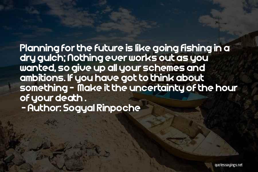 Planning Your Future Quotes By Sogyal Rinpoche