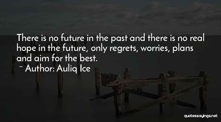 Plans For The Future Quotes By Auliq Ice