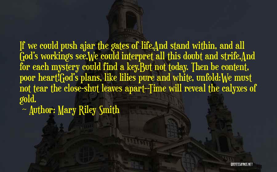 Plans For The Future Quotes By Mary Riley Smith