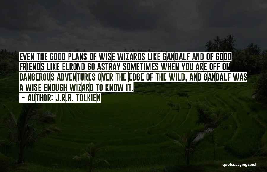 Plans Going Astray Quotes By J.R.R. Tolkien