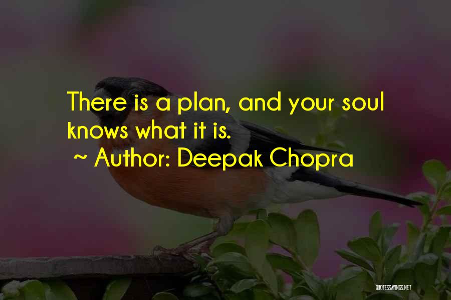 Plans Quotes By Deepak Chopra