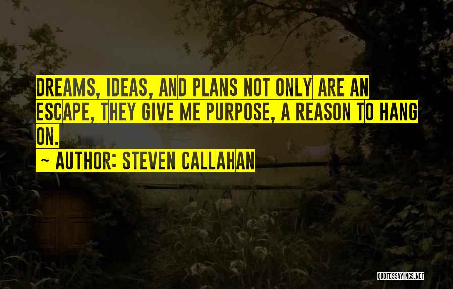 Plans Quotes By Steven Callahan