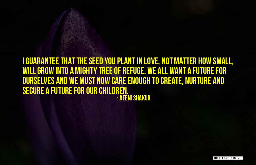 Plant A Tree Love Quotes By Afeni Shakur