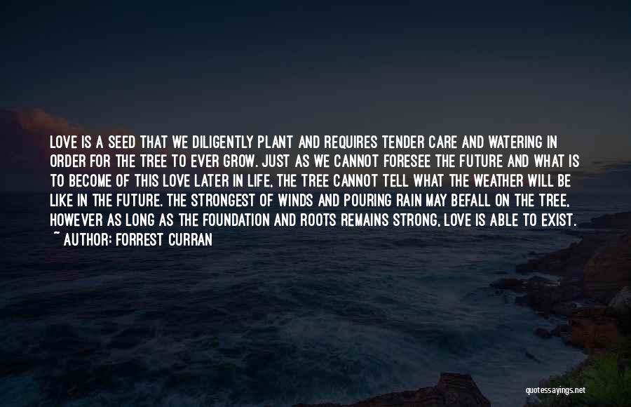Plant A Tree Love Quotes By Forrest Curran