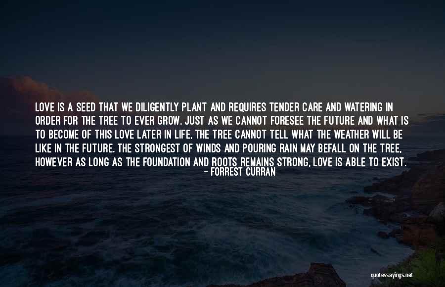 Plant A Tree Love Quotes By Forrest Curran