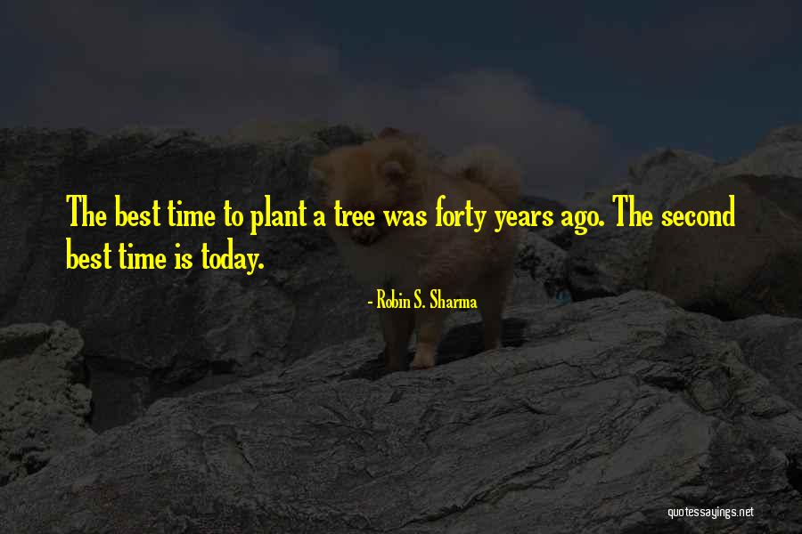 Plant A Tree Today Quotes By Robin S. Sharma