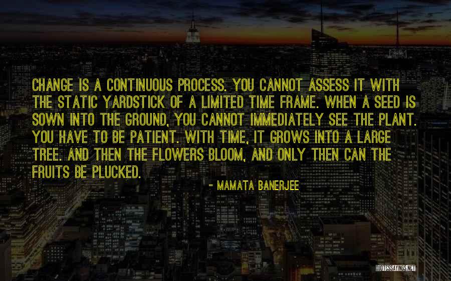 Plant Bloom Quotes By Mamata Banerjee Plant Bloom Quotes By Mamata Banerjee