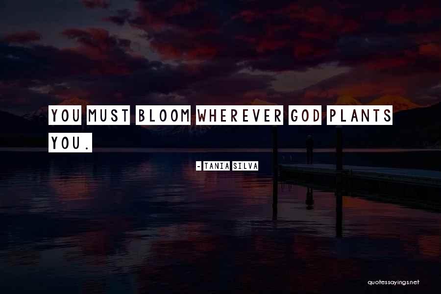 Plant Bloom Quotes By Tania Silva Plant Bloom Quotes By Tania Silva