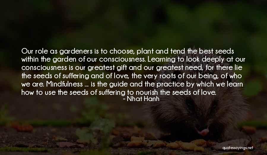 Plant Gift Quotes By Nhat Hanh Plant Gift Quotes By Nhat Hanh