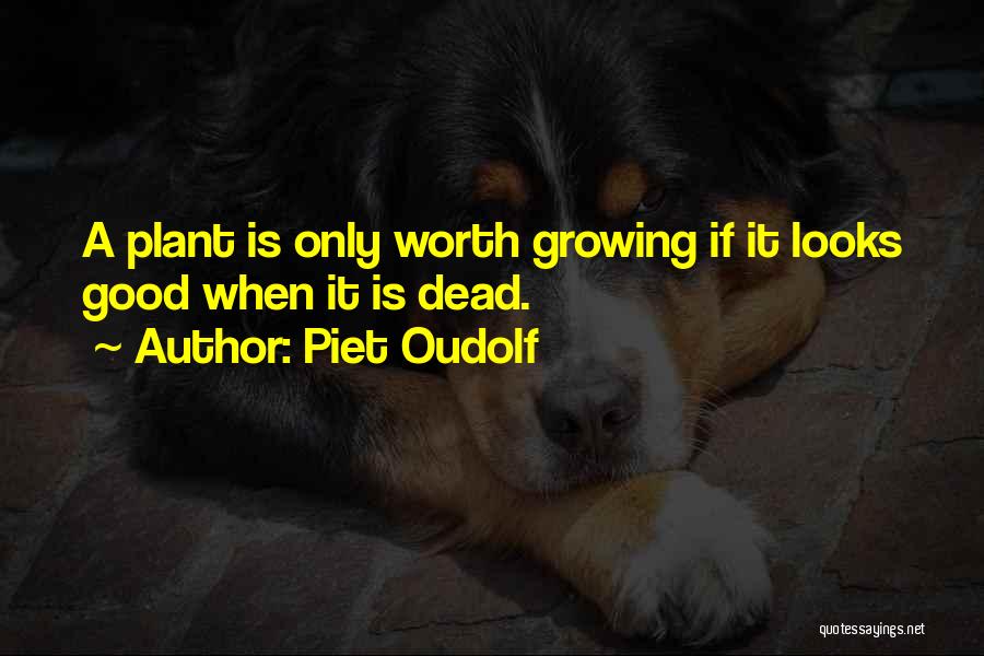 Plant Growing Quotes By Piet Oudolf