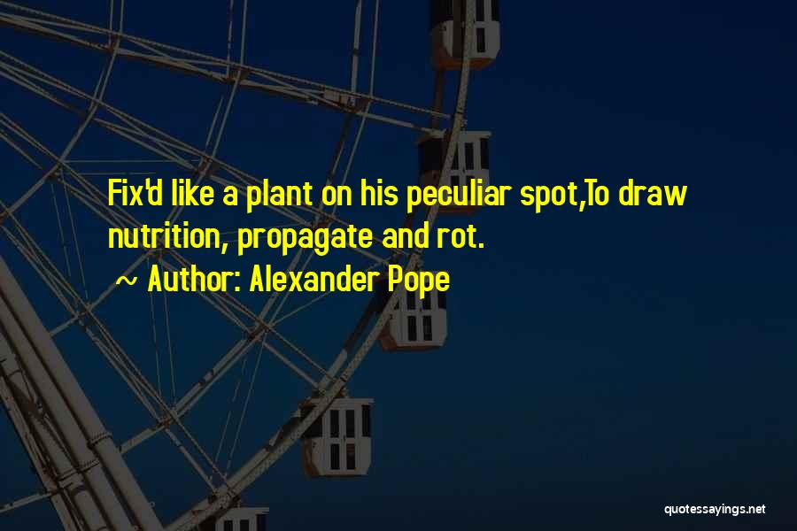 Plant Life Quotes By Alexander Pope