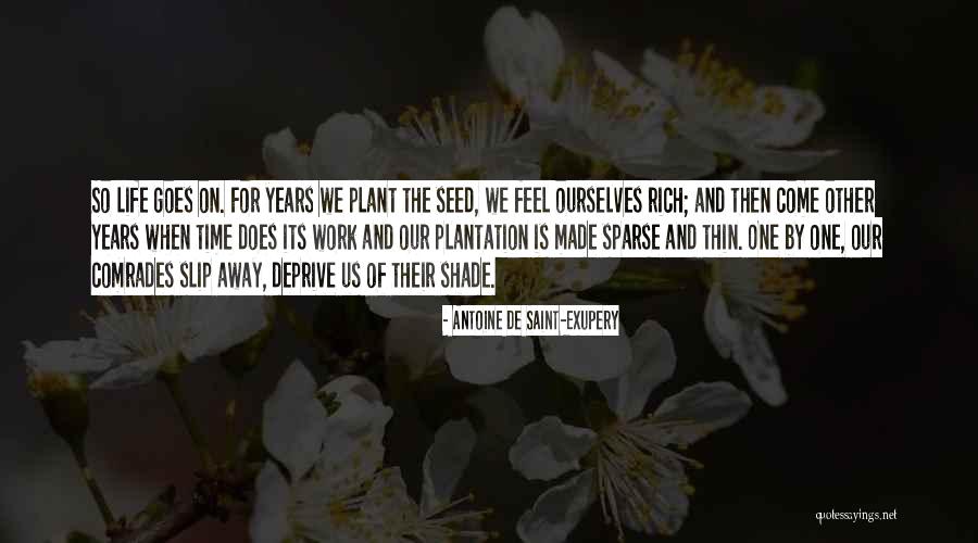 Plant Life Quotes By Antoine De Saint-Exupery