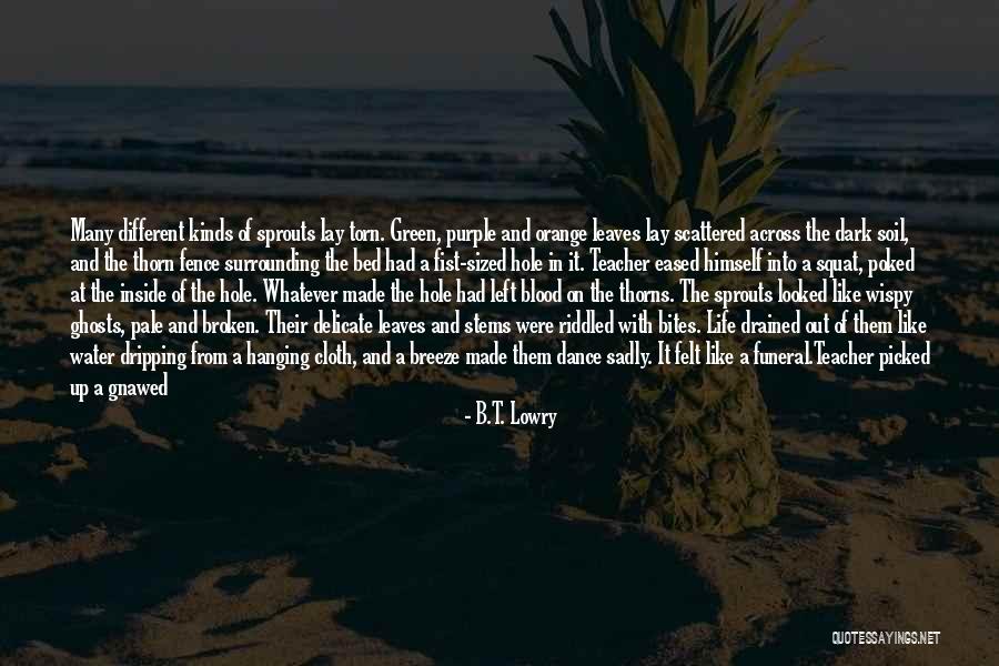 Plant Life Quotes By B.T. Lowry