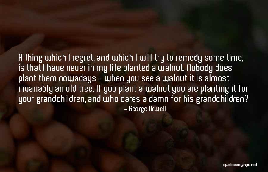 Plant Life Quotes By George Orwell