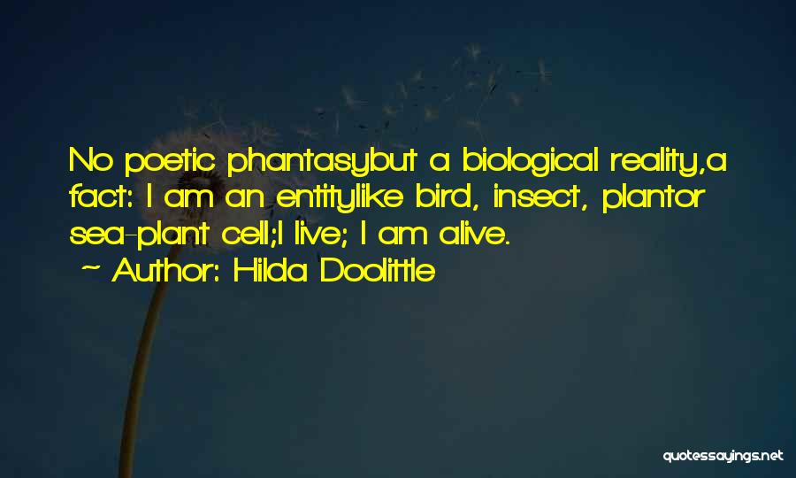 Plant Life Quotes By Hilda Doolittle