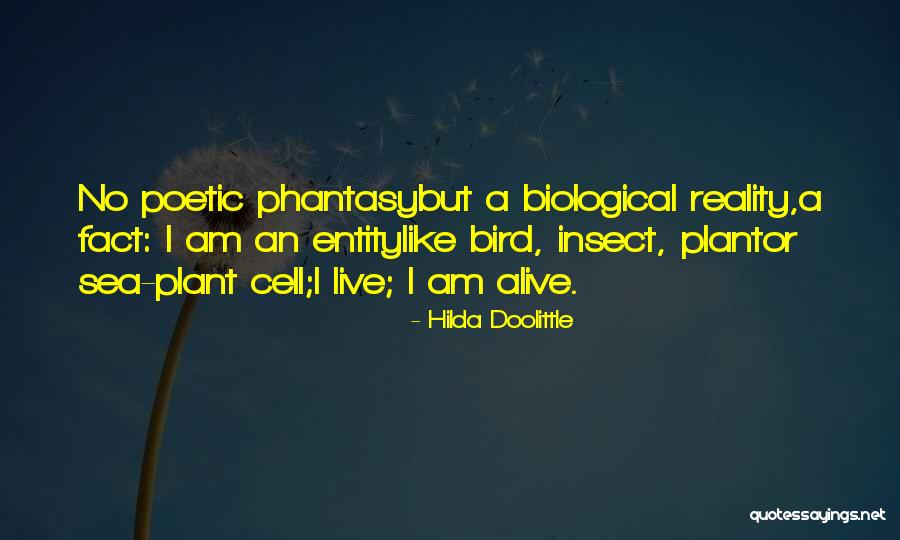 Plant Life Quotes By Hilda Doolittle